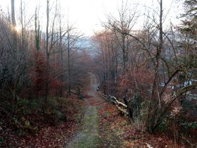 Über den Sterzlweg zum Freibad, © Wiener Alpen in Niederösterreich - Wechsel