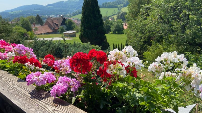 Blick vom Balkon, © Wiener Alpen