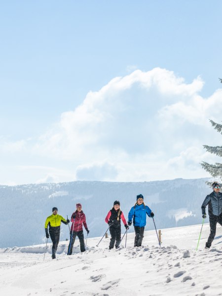 60 km lang ist die Wechsel-Panoramaloipe, © L&amp;WSV Fülöp