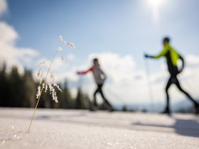 Loipeneinstieg Kummerbauerstadl, © Wiener Alpen in Niederösterreich - Wechsel