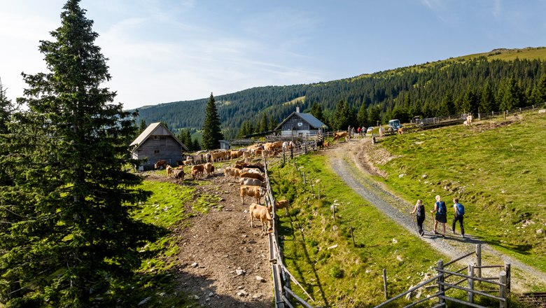 Marienseer Schwaig, © Wiener Alpen, Christian Kremsl