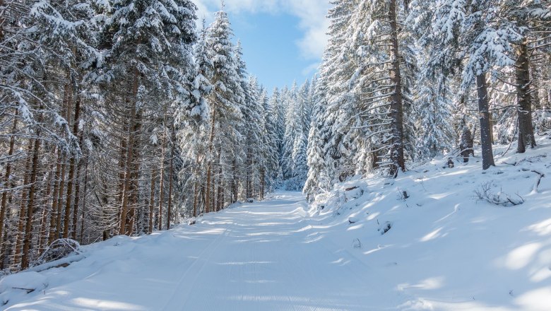 Wechsel-Panoramaloipe, © Familie Morgenbesser